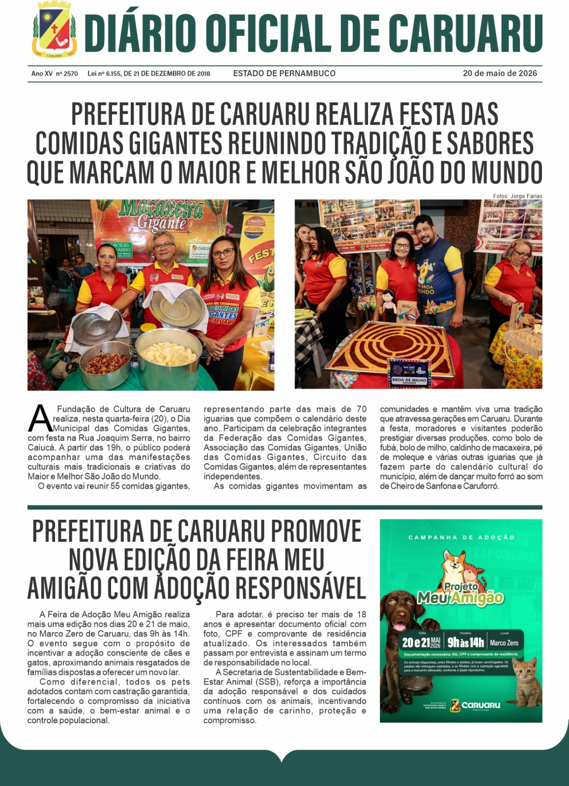 Previsualização diário do dia