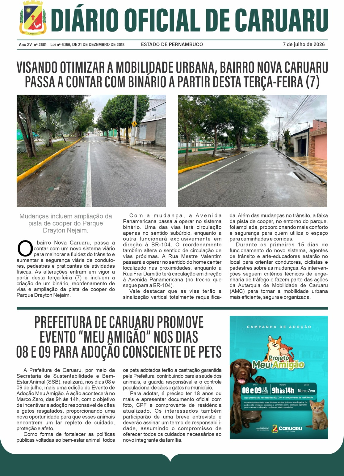 Previsualização diário do dia