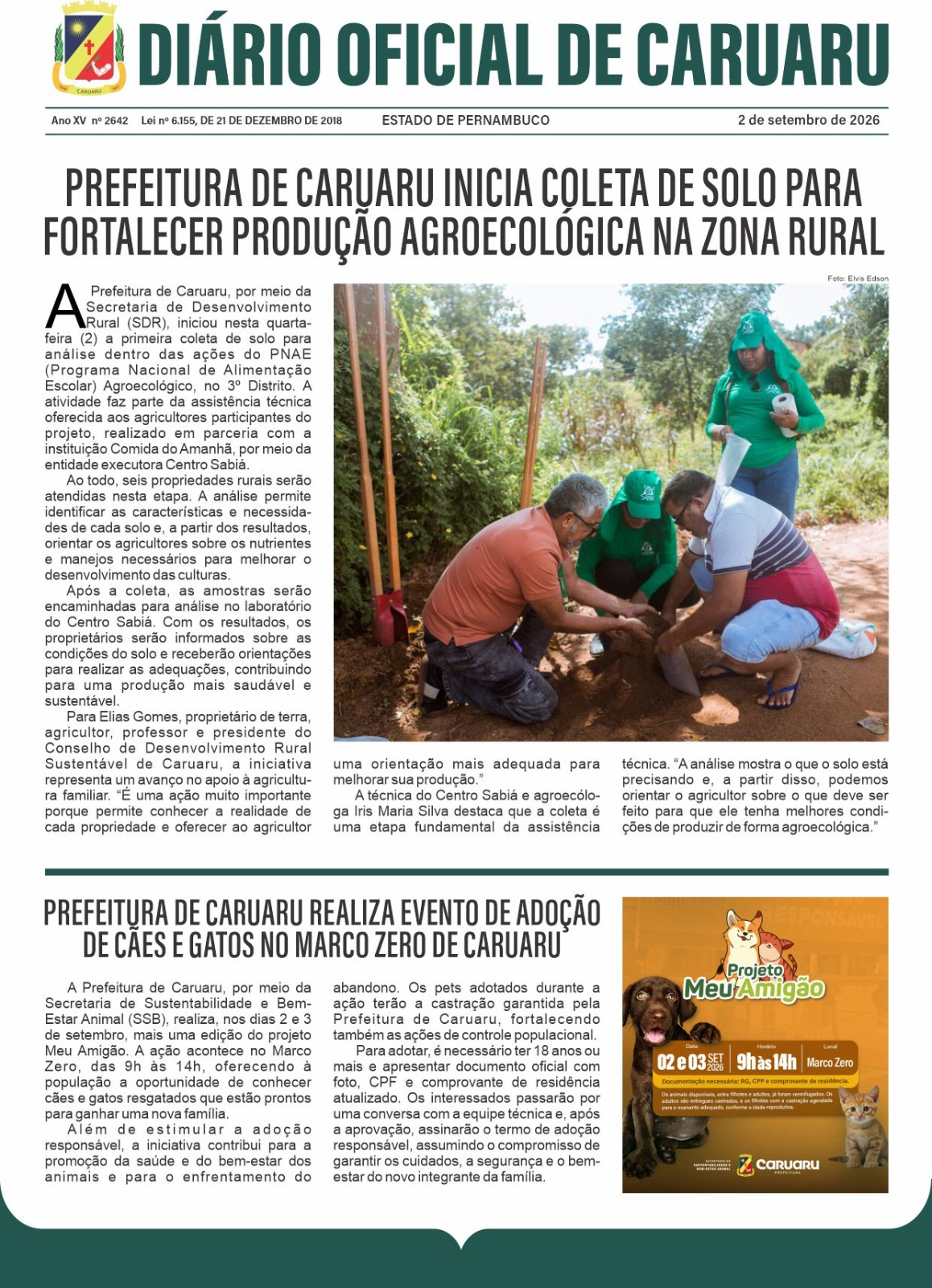 Previsualização diário do dia