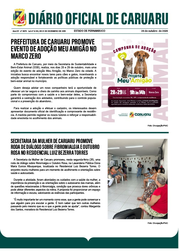 Previsualização diário do dia